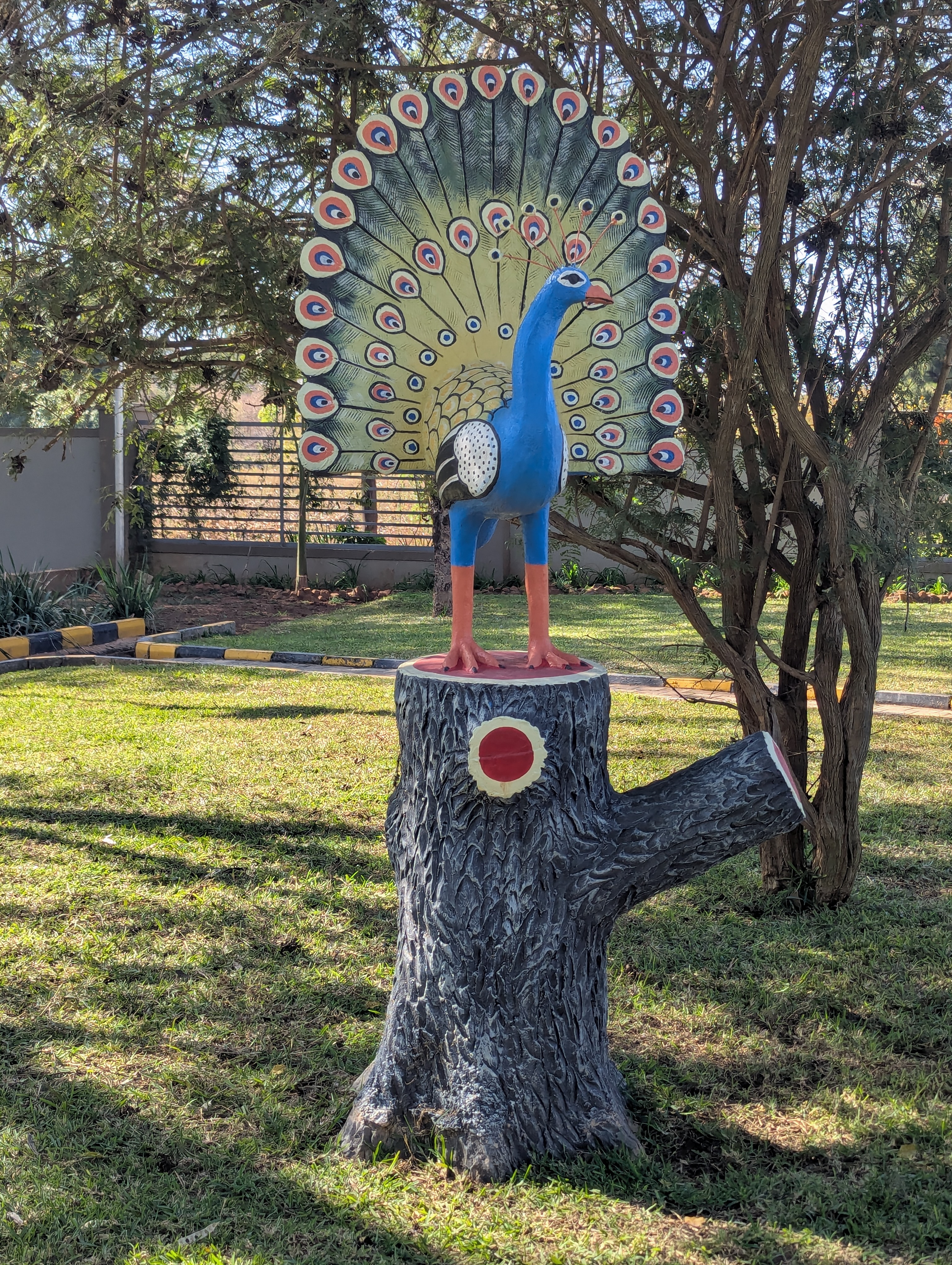 Peacock on the grounds at Ellesia Executive Lodge